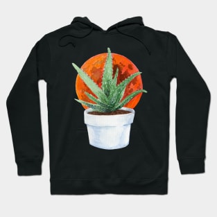 Aloe Moon Hoodie